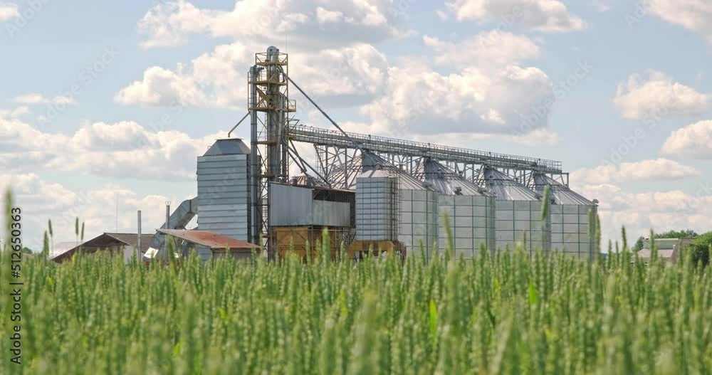 Silver silos on agro-processing and manufacturing plant for processing drying cleaning and storage of agricultural products, flour, cereals and grain. Modern Granary elevator. 