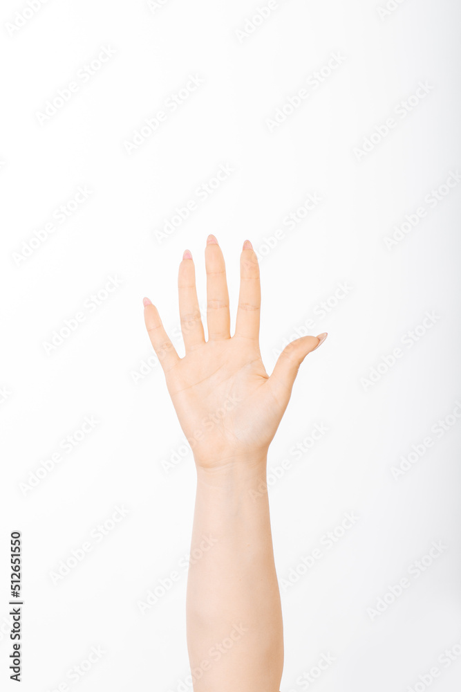 Close-up of beautiful woman`s hand isolated on white background Close-up of beautiful woman`s hand isolated on white background