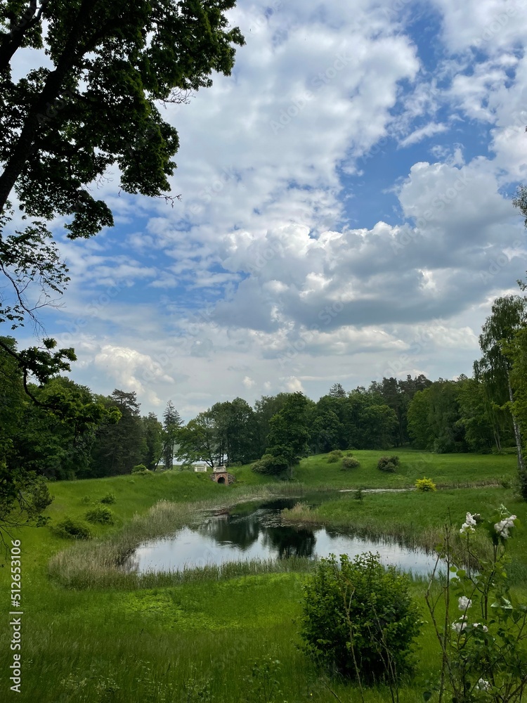 Fototapeta premium landscape with river