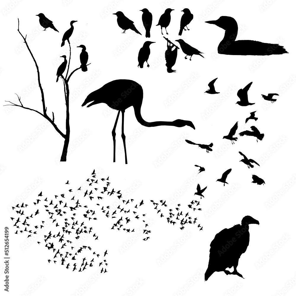 Cormorants, turkey vulture, seagulls, loon, flamngo, starlings, and moore birds are seen as 3d