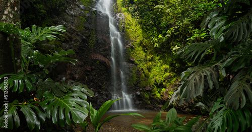 Waterfall in the rain forest #512655133