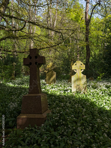 Celtic cross in church yard with wild garlic