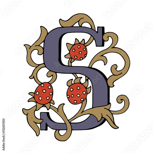 Letters S Drop Caps. Vector hand-drawing color letter. Fabulous ornament	