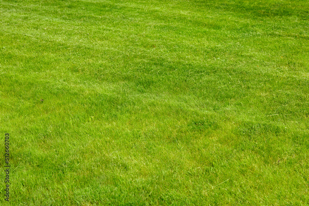 Perfectly and freshly mowed garden lawn in summer. Close-up view of green grass, natural background texture. Trimmed grass, field. Perfectly and freshly mowed garden lawn in summer. Close-up view of green grass, natural background texture. Trimmed grass, field.