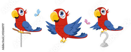 Vector illustration of cute and beautiful parrots on white background. Charming characters in different poses sit on a perch, fly, sit on a pirate hook and an eye patch in cartoon style.