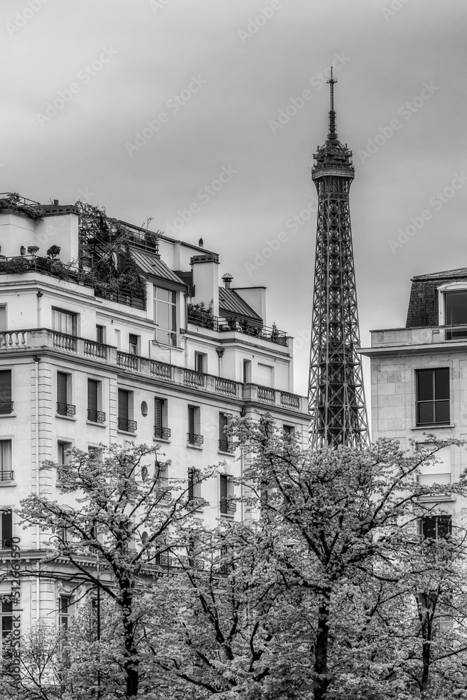 Paris buildings with the Eiffel Tower in the background in black and white 