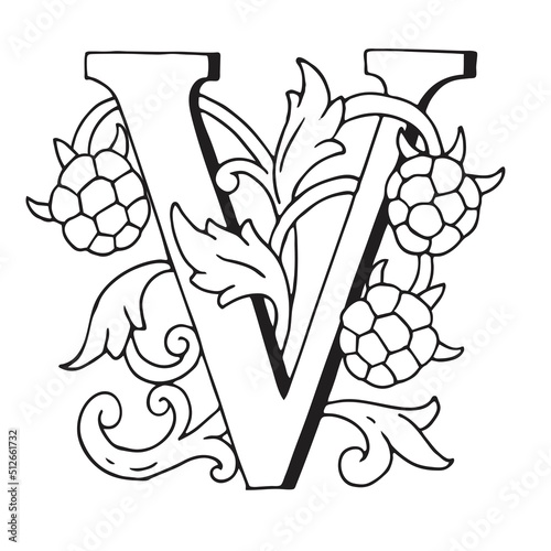 Letters V Drop Caps. Vector hand-drawing letter. Fabulous ornament	