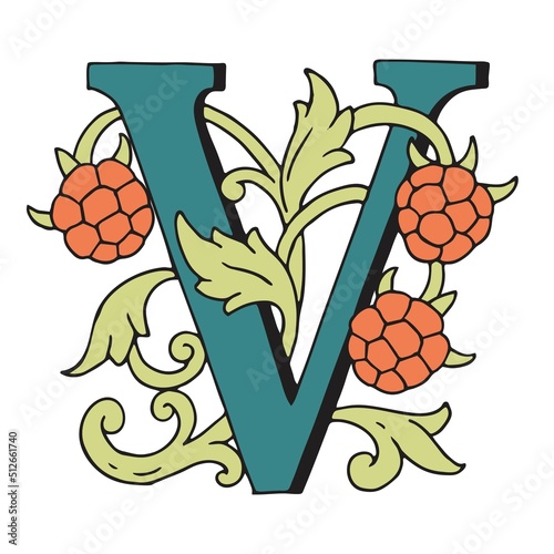 Letters V Drop Caps. Vector hand-drawing color letter. Fabulous ornament