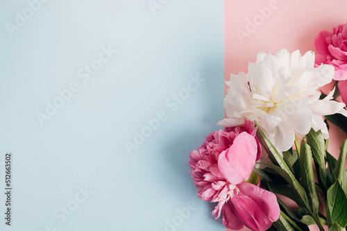 Modern peonies composition on pastel blue and pink paper, flat lay. Creative floral image, stylish greeting card. Fresh pink and white peony flowers border with space for text