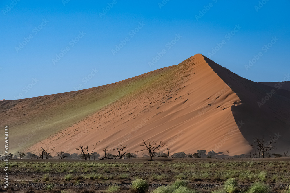 Namibia, the Namib desert, graphic landscape