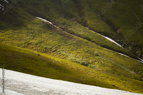 Mountain slope green bush berries, snow patches glacier.