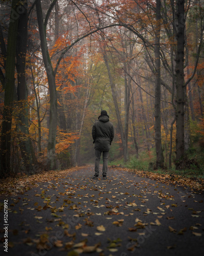 person walking in autumn park