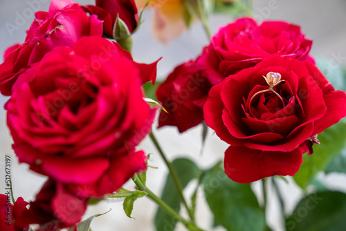 golden ring on beautiful red roses in a vase on a white background