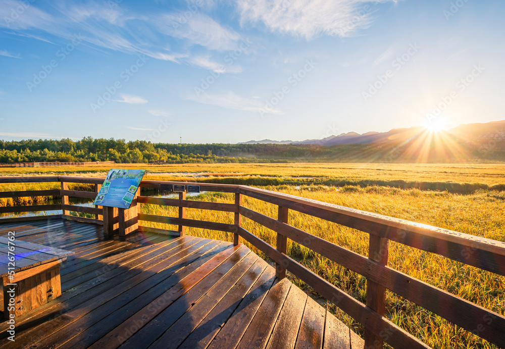 Fotografie A wooden boardwalk in Potter Marsh Bird Sanctuary, Alaska