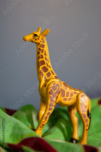 giraffe toy © Ulises