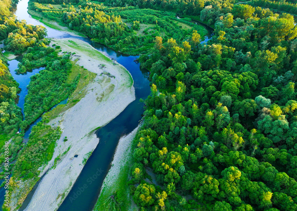 A rocky river in the middle of a forest. Aerial view of tranquil river reflecting sky, amid lush green landscape, aerial view. Top view of a mountain river in the forest.