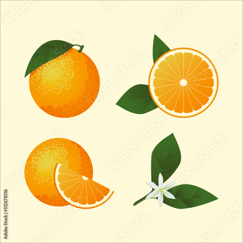 Set of different views of orange, orange with leaves, slice of orange. Vector illustration.