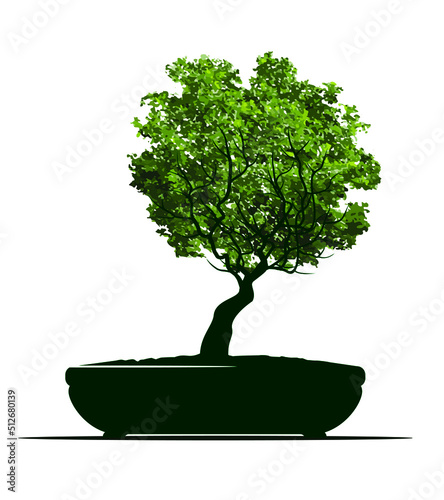 Green Spring Tree with Leaves in Pot. Vector outline Illustration. Bonsai Tree.