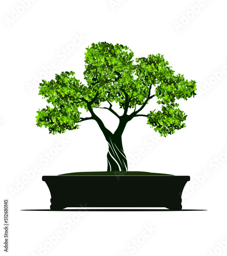 Green Spring Tree with Leaves in Pot. Vector outline Illustration. Bonsai Tree.