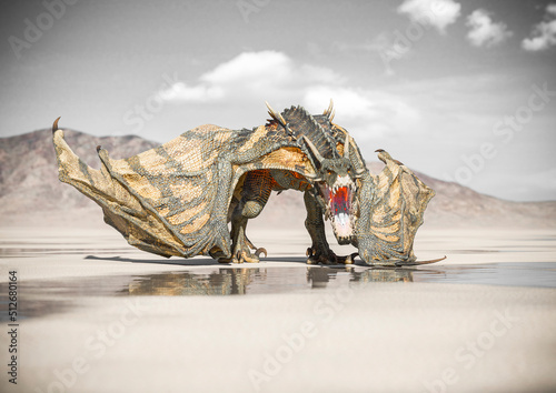 dragon on the desert after rain is angry © DM7