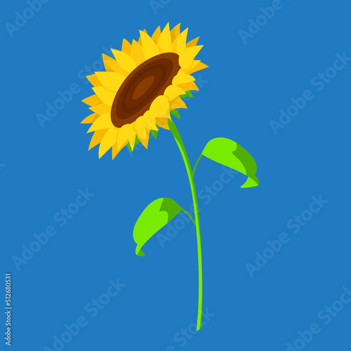 sunflower flower garden plants elements