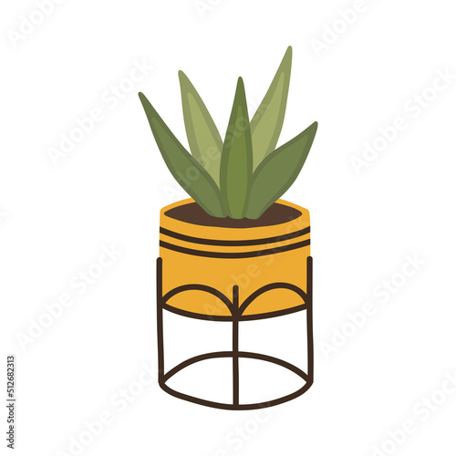 Botanical plant succulent haworthia in Scandinavian pot in boho style