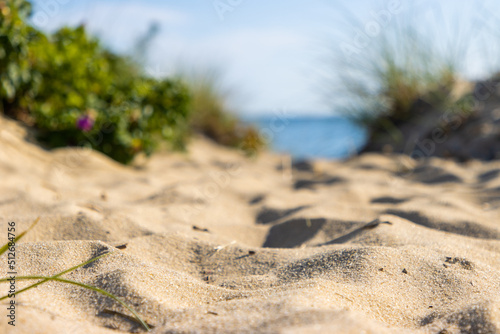 Sandy path through dune to beach
