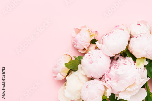Pink peonies on pink background. Birthday, Valentines Day, Mother's day or Women's day concept