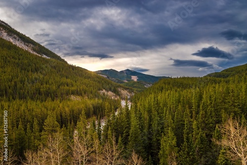 Panoramic View Of Mountains And Trees In Kananaskis