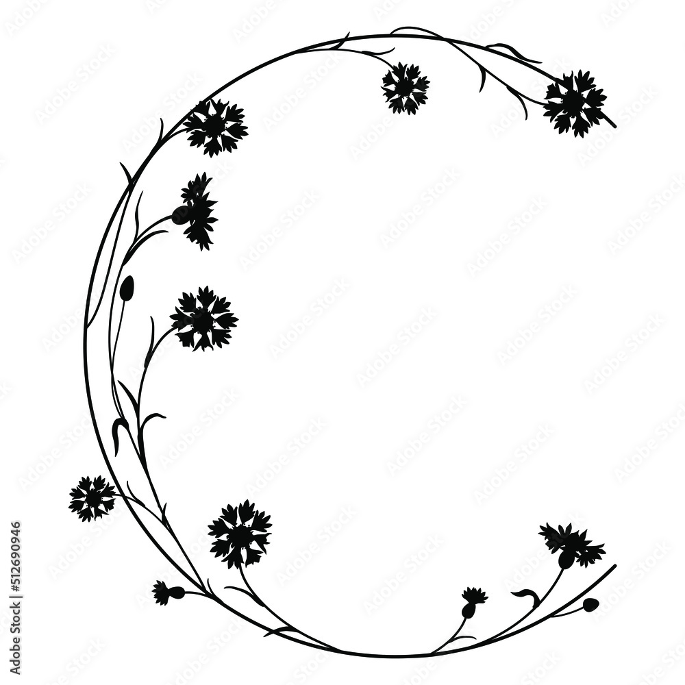 Beautiful letter C with blooming branches of cornflower or knapweed