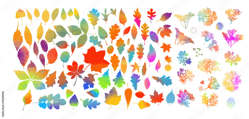 Set of colorful autumn leaves. Vector illustration