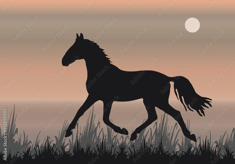 isolated silhouette of a running young horse against a landscape background
isolated silhouette of a running young horse against a landscape background
