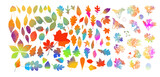 Set of colorful autumn leaves. Vector illustration