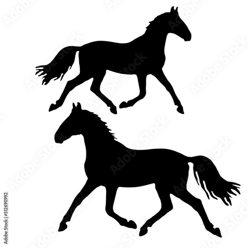 isolated silhouette of a running young horse, monochrome  image
