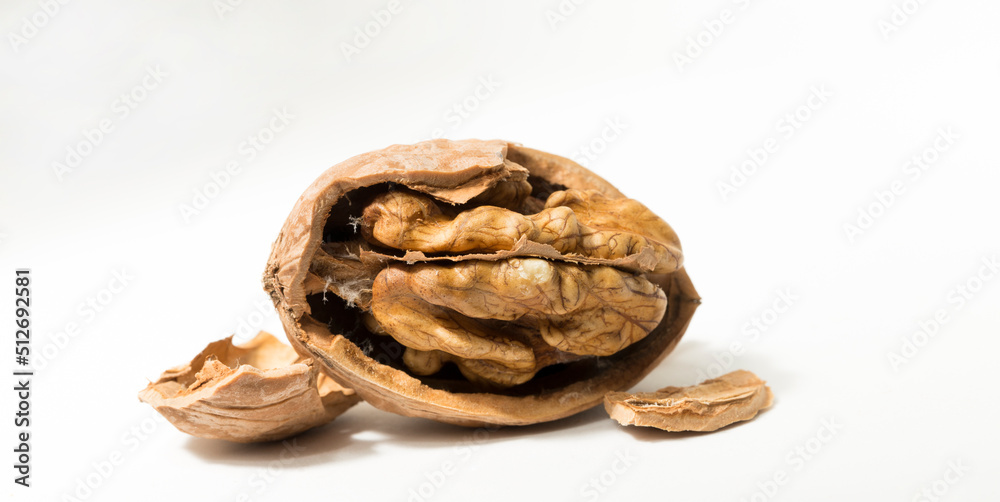 Walnuts are rounded, single-seeded stone fruits of the walnut tree. Cracking a nut. Walnuts are rounded, single-seeded stone fruits of the walnut tree. Cracking a nut.