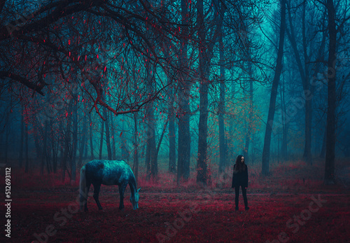 Girl and horse. Fairy horse. Paranormal world. Strange forest in a fog. Mystical atmosphere. Dark wood. Fairytale forest. Gothic witch. Background wallpaper. Scary forest trees in a fog.