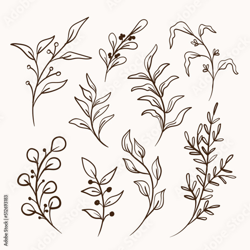 leaves foliage line art collection