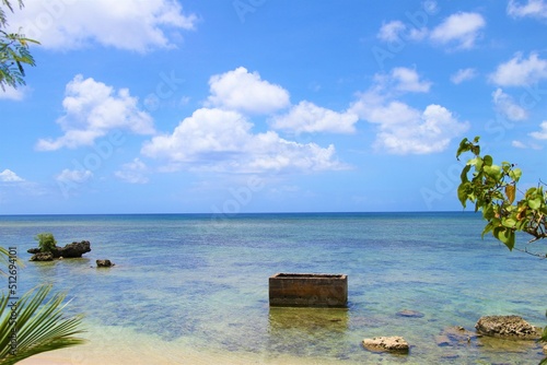 海