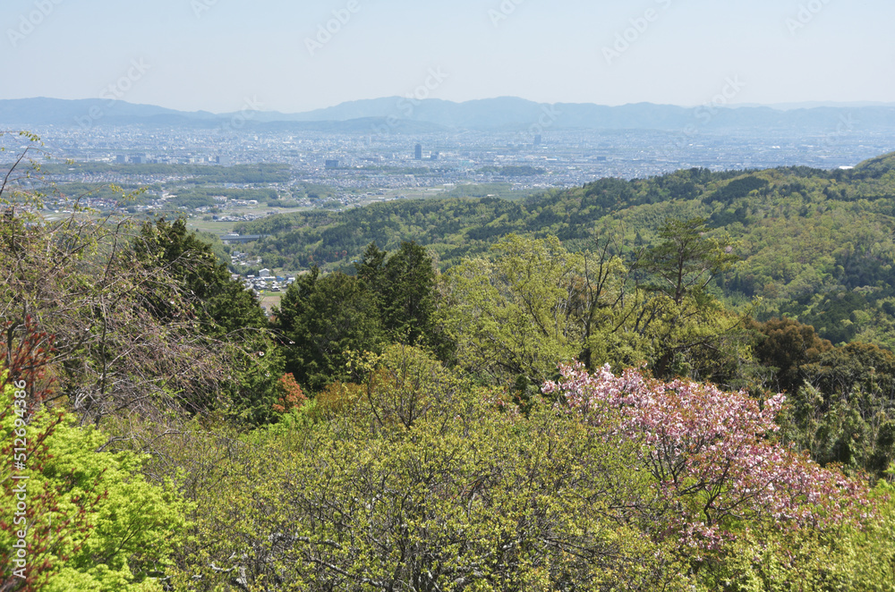 Obraz premium 三鈷寺 本堂より京都市内を望む 京都市西京区大原野