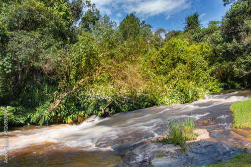 rapids on a sunny day