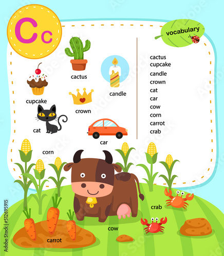 Alphabet Letter C education vocabulary illustration, vector