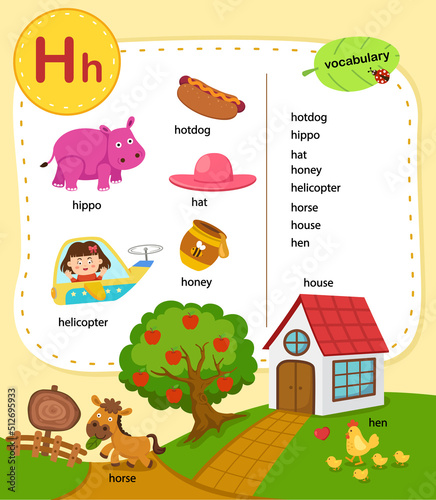 Alphabet Letter H education vocabulary illustration, vector
