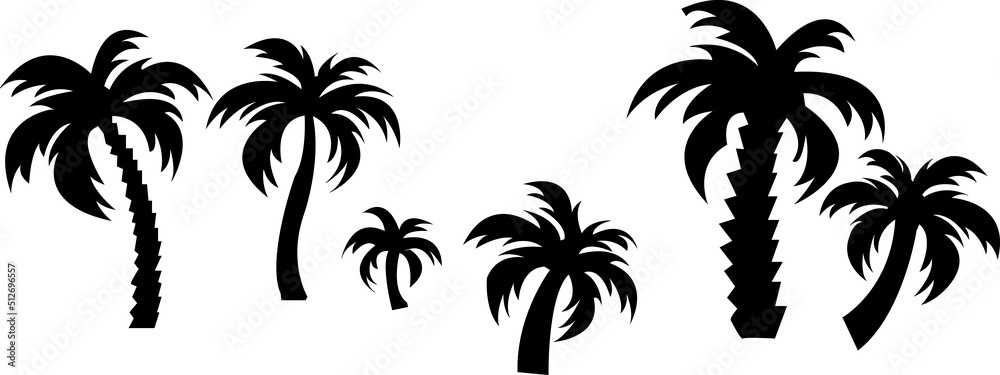 palm tree silhouette