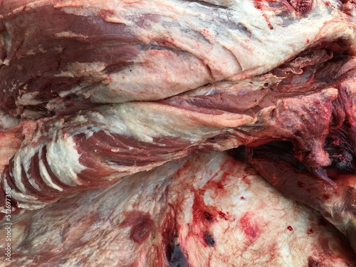 解体されたイノシシの肉