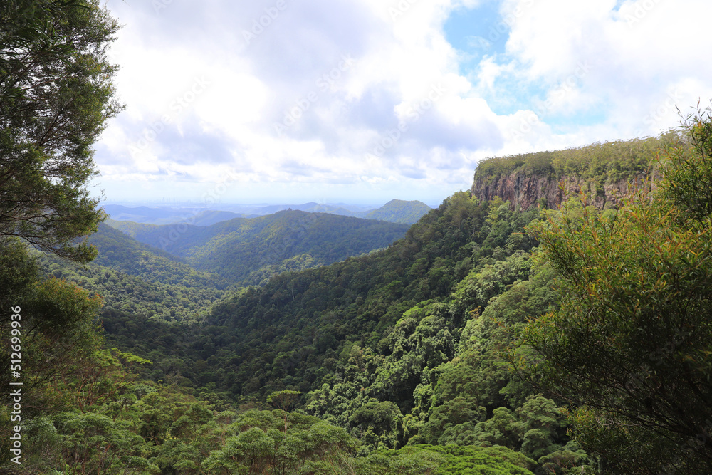 Spectacular views over the rainforest