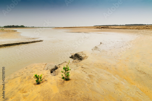 Beautiful turn of a river , river bed landscape of Tajpur with tree lines and horizon in the background. West Bengal, India photo