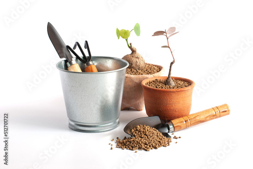 Gardening tools and Stephania erecta raib and Phyllanthus mirabilis plant in pots on white background. photo