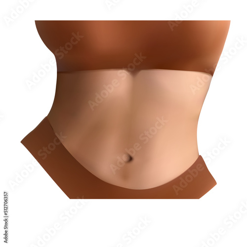 Beautiful figure woman wearing underwear with abdomen crop vector illustration