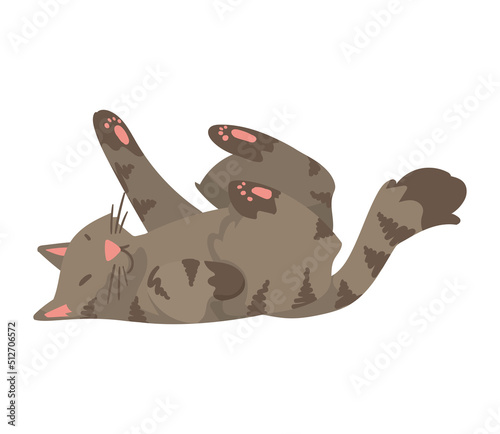 gray cute cat mascot