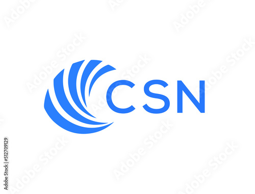 CSN Flat accounting logo design on white background. CSN creative initials Growth graph letter logo concept. CSN business finance logo design.
 photo